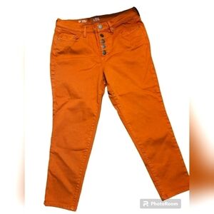 ana 12P high rise shinny  ankle rust and Top large petite